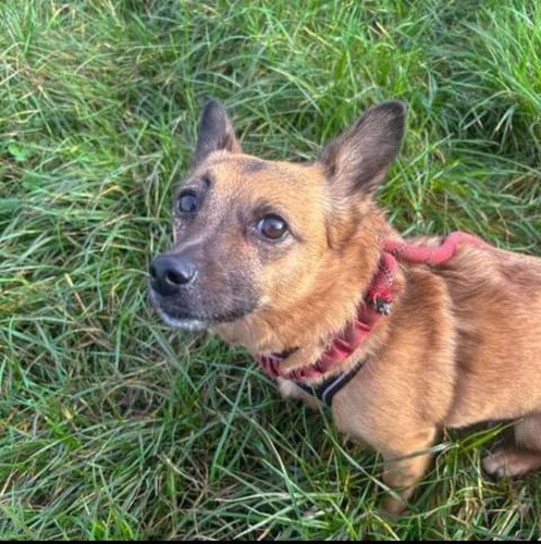 GcW6D oWEAEVbQq?format=jpg.jpg