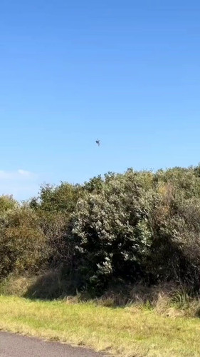 jR nE 8LQ1noxrNr.jpg