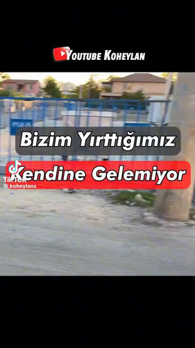 SQ yc80JRsJcEDoF.jpg