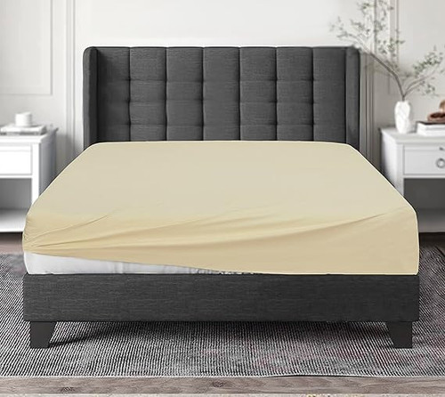81EsLQd6I1L. AC SX569 .jpg