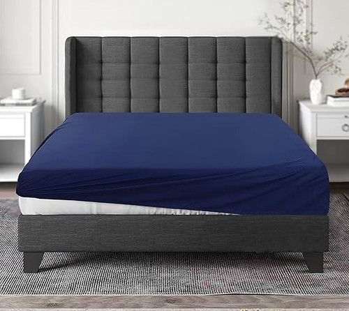 814aMoflQaL. AC SX569 .jpg