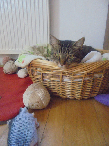 G2AHmBgWoAA8lvj.jpg
