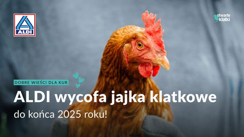 G2FFkcOWMAEu8AU.jpg
