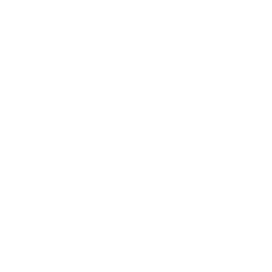 sr favicon.png
