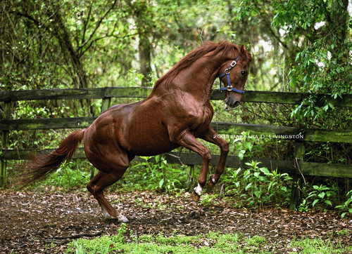 G2Di9FDXgAAQW9w.jpg