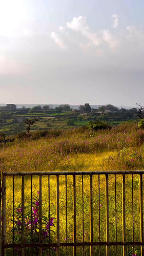 ZFxfsHYhTAxGfM z.jpg