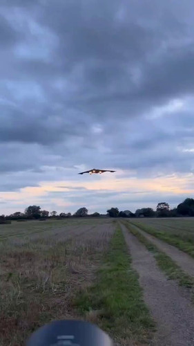 K0b2BJg Nf0oc1oh.jpg