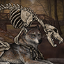 skeletal werewolf preview.png
