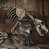 skeletal werewolf preview