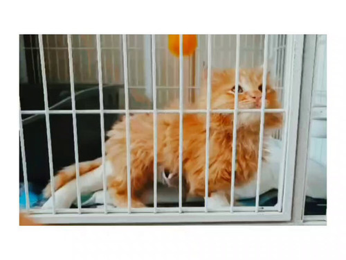 mz9aygHEPf s4WdO.jpg