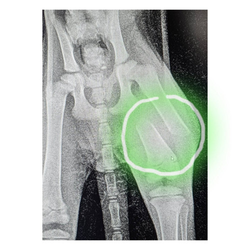 Gnov z0WcAEUn0o?format=jpg.jpg