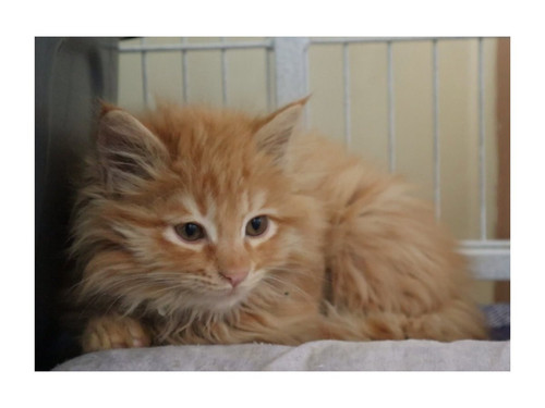 GoZvY tWsAETN0b?format=jpg.jpg