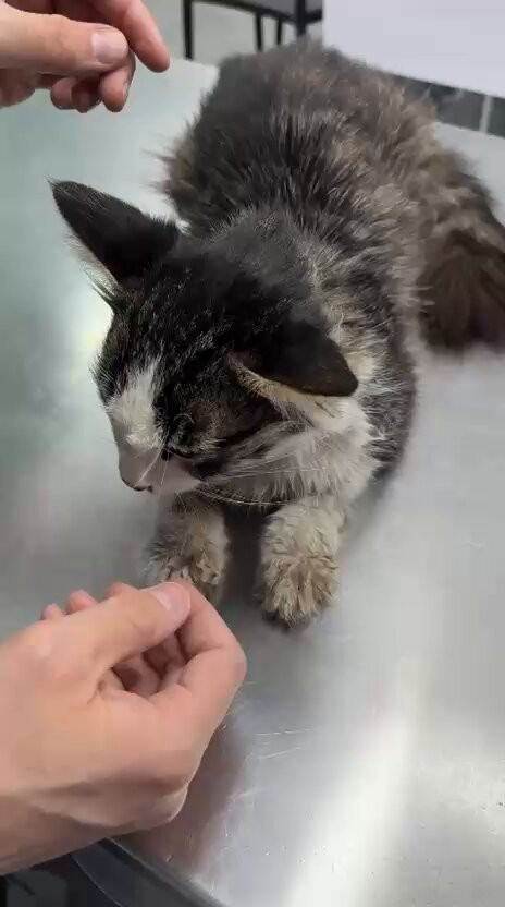 nl hZBnW29keJAmv.jpg