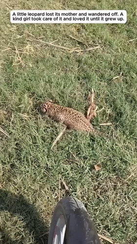 ioXrx DE4Z3LzgNl.jpg