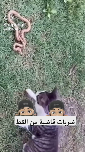 JFEFr8IDZ aE46VB.jpg