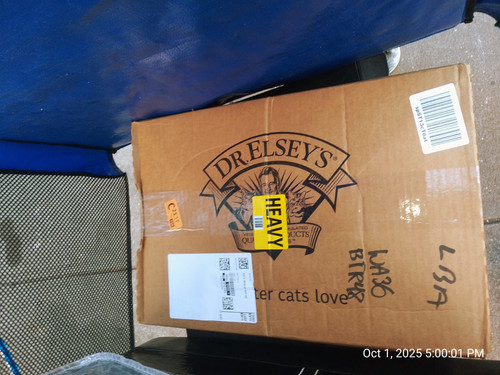 IMG 20251001 170001.jpg