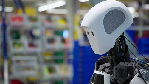 7KukSIij5pt0 Cow.jpg