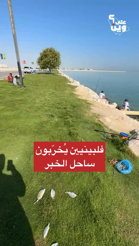 rf4tc 554KUrpojh.jpg