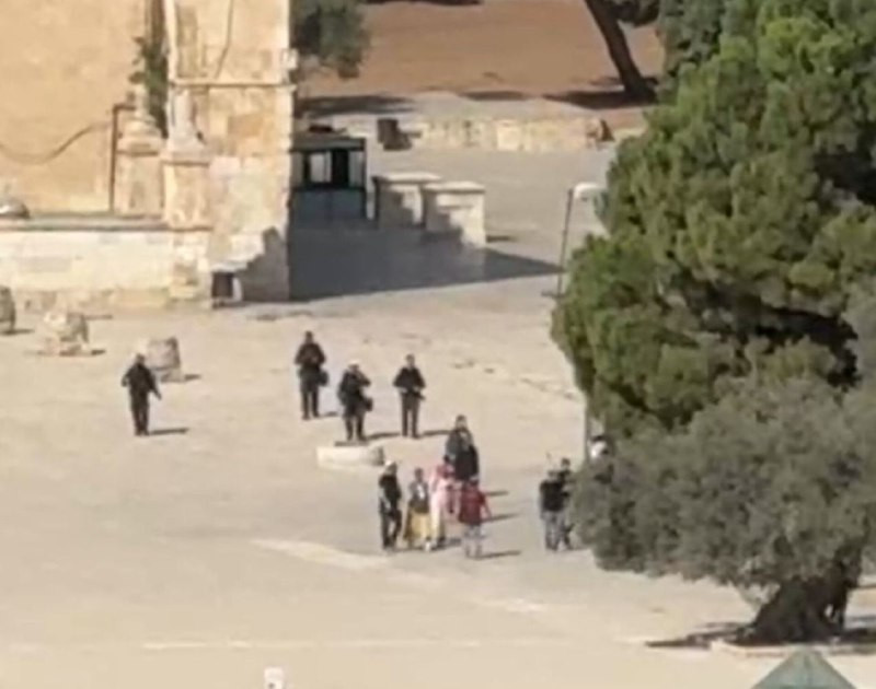 مجموعات المستوطنين تقتحم المسجد الأقصى المبارك تحت حماية شرطة الاحتلال....