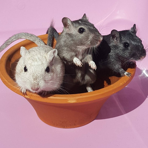 327568941 742700407532452 2323030135785924957 n.jpg