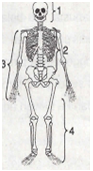 Cuplikan layar 2025 10 01 141901.png