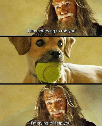 1759336980849.jpg