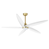 Option E Chanille 5 Blade Solid Wood Ceiling Fan White &amp; Gold