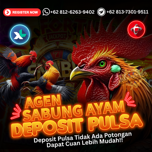 AGEN SABUNG AYAM TERBARU | BONUS SABUNG AYAM TERBESAR | AGEN SABUNG AYAM ONLINE | DAFTAR SABUNG AYAM.png