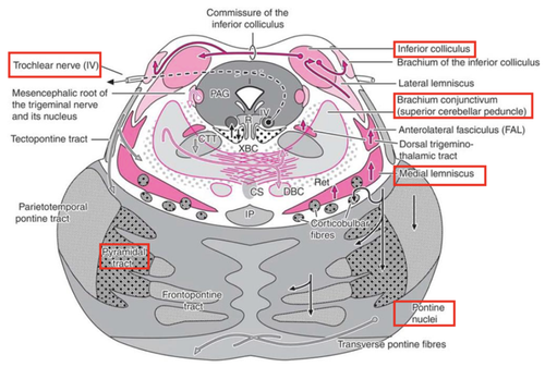 8ec24fc3747a.png