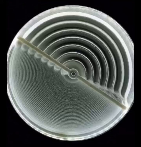 n NhUdJz4GGQDWIh.jpg