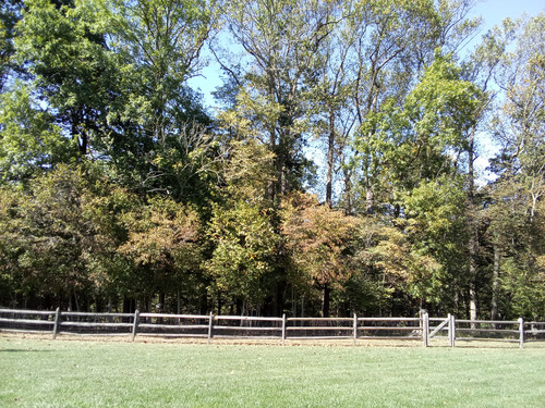 IMG 20251001 133434.jpg