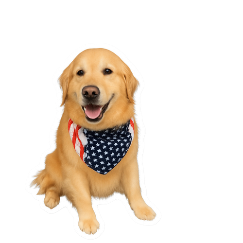 IMG 0079.png
