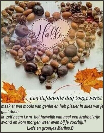 REST VRIJDAG 10 10 2025.jpg