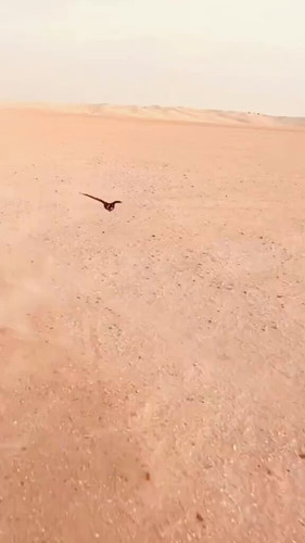 IJ OyAyg4 mqxGGh.jpg