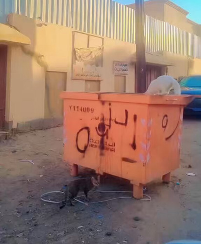 K Q7jTDXpgoAvkBo.jpg