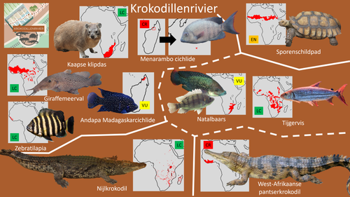 Krokodillenrivier.png