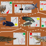 Krokodillenrivier