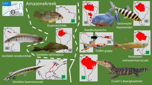 Oceanium (Amazone).png