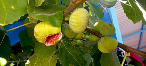 KuNR6lIslzR8On24cPs0VwzhY7l W4cotD5gZrsRiKdzGOe7w qm7kwrSwAkeJ3gc6cW dhScsN1FW8d5z7cf2IFvCucfpx1VegS.jpg