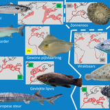 Oceanium (Wrakduik &amp; Delta)