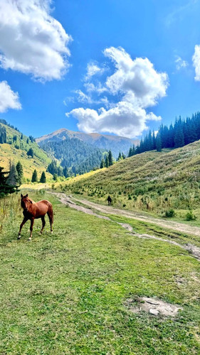 G2G6wI WMAE4EPo.jpg