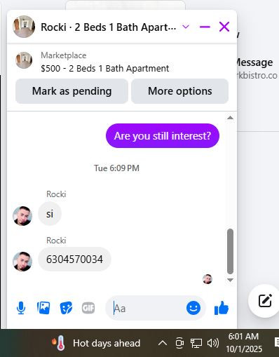 Rocki.jpg