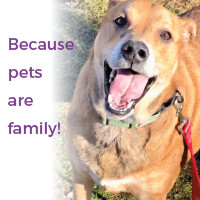 Because pets are family 200x200.jpg