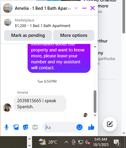 Amelia.png