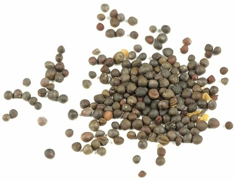 140 kohlrabi biswas original imagupfagjvjgpaw.jpg