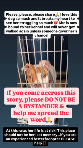 Qp2wxZ VqWPxgdhn.jpg