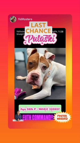 d 49e6aCQLhSgkmd.jpg