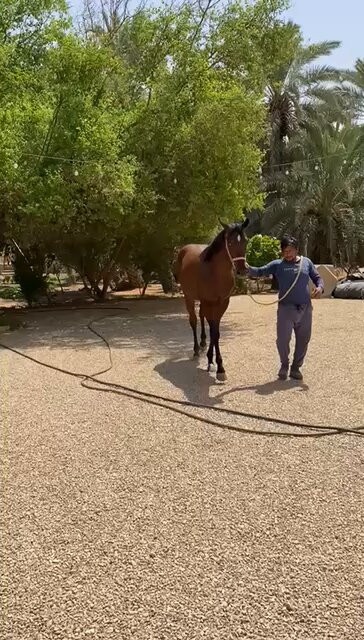 MMvfBxxSmmPiJE g.jpg