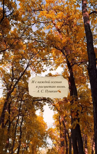 Cq yp4Y5HiBKtpII.jpg