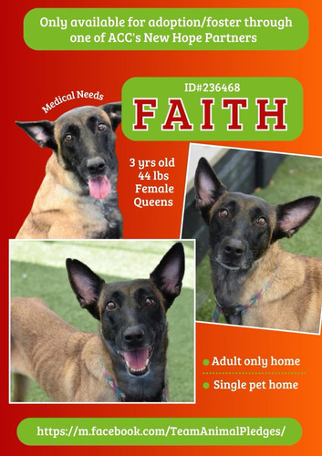 G1sxcerXIAA 7LA?format=jpg.jpg